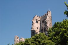 Ruine Drachenfels_1.jpg